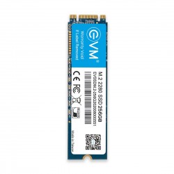  EVM M.2 NVMe PCIe 256GB High Performance Solid State Drive