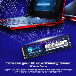 EVM 256GB NVMe M.2 SSD