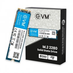 EVM 256GB M.2 2280 SATA Solid State Drive