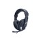 Foxin Dynamic Wired Dual Pin Headphones
