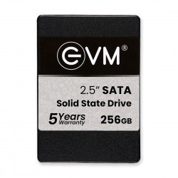EVM 256GB SATA Solid State Drive