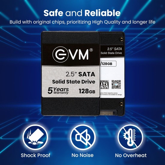 EVM 128GB Internal Sata SSD