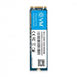 EVM 512 GB M.2 Internal Sata SSD