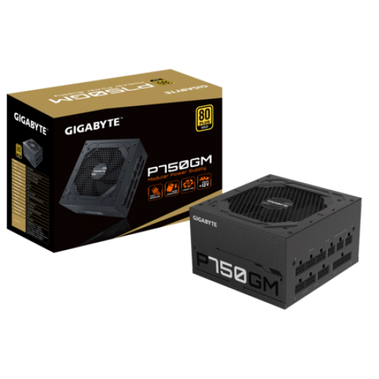 Gigabyte P750GM 80 Plus Gold Certified 750 Watt Fully Modular SMPS