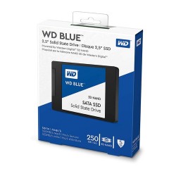 WD Blue 3D 250 GB Laptop Internal Solid State 