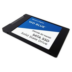 WD Blue 3D 250 GB Laptop Internal Solid State 