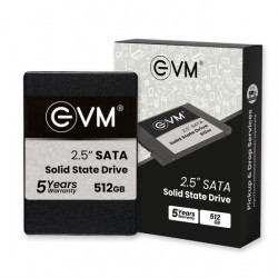 EVM 512 GB M.2 SSD SATA