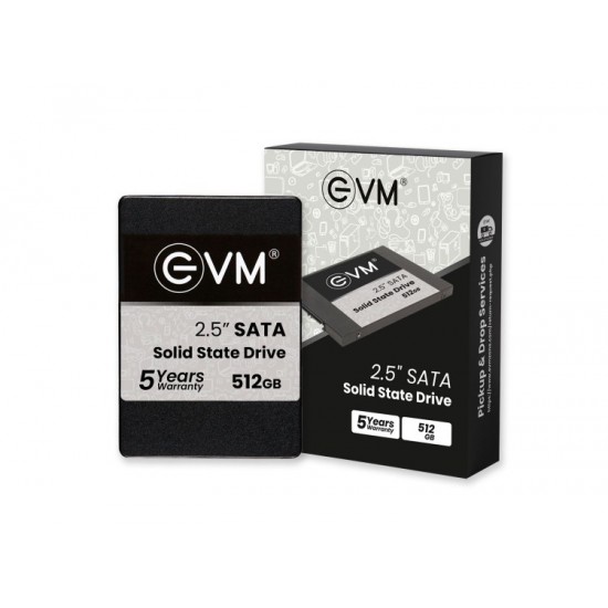 EVM 512GB Sata SSD