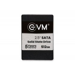 EVM 512GB Sata SSD