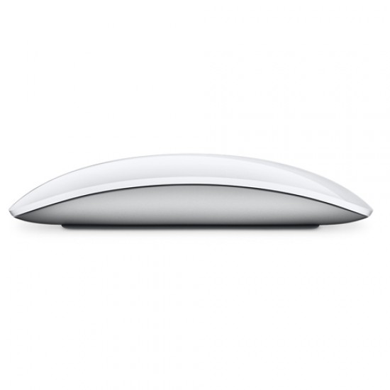 Apple Magic Wireless Mouse (MK2E3ZM-A)