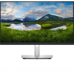 Dell 23.8 inch FHD IPS Monitor (P2422HE)