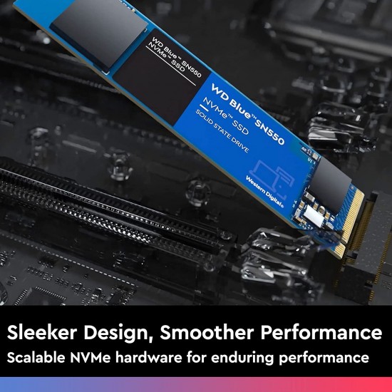 WD 250GBSN570 Blue NVMe Internal SSD